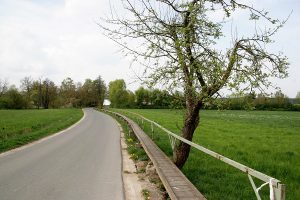 Holzsteg von Uehlfeld nach Voggendorf