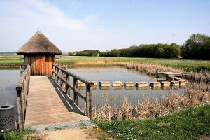 Vogelbeobachtungshäuschen am Weiher