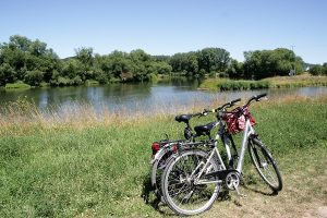 Foto zwei Fahrräder am Mainufer im Sommer