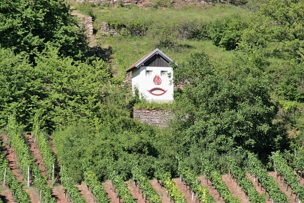 Foto Gerätehäuschen in den Weinbergen mit Gesicht auf der Fasade