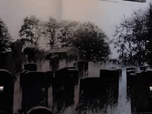 Foto Grabsteine des jüdischen Friedhofes in Buttenheim