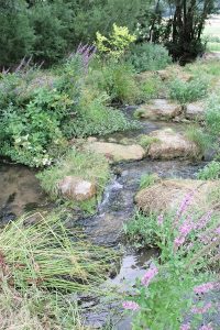 Foto Flüßchen Weißenbach auf dem Kirschenweg