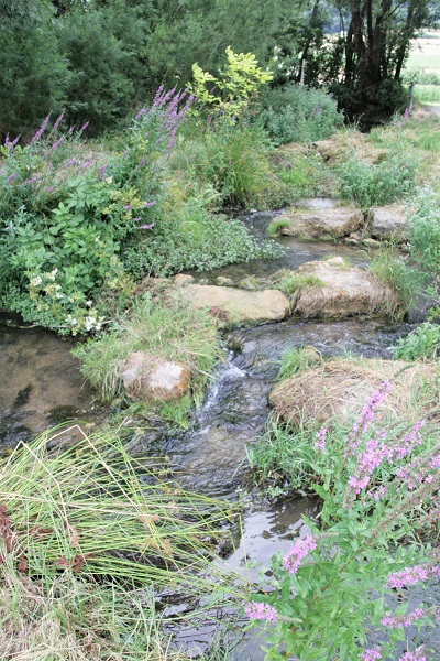 Foto Fluß Trubach am Kirschenweg