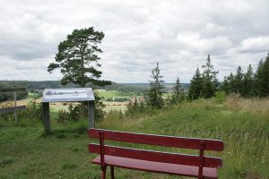 Reuter Platte bei Thalmässing