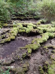 Von Greding zum Kloster Plankstetten auf VGN-Genusstour