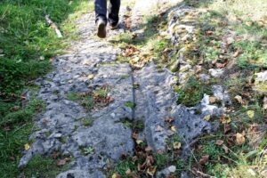 Elisabethweg Pottenstein Karrenspuren